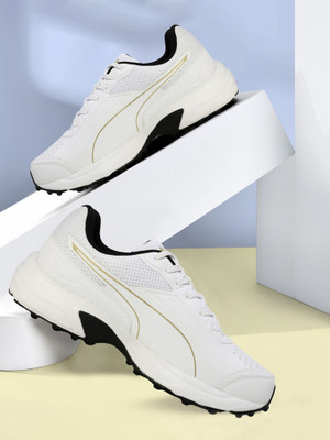 PUMA PUMA Cricket Power 2.0 Sports Men White Cricket Shoes For Men(White , 7)