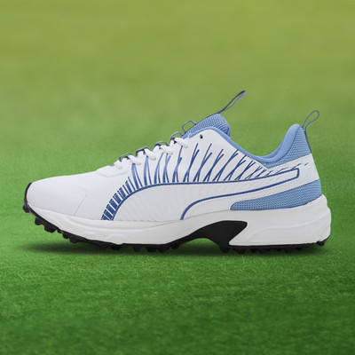 PUMA Cricket Square Cricket Shoes For Men(White , 7)