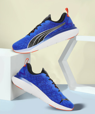 PUMA Softride Pro Echo Rousing Running Shoes For Men(Blue , 9)