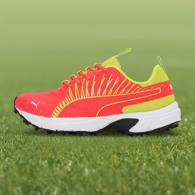 PUMA Cricket Square Cricket Shoes For Men(Red , 10)