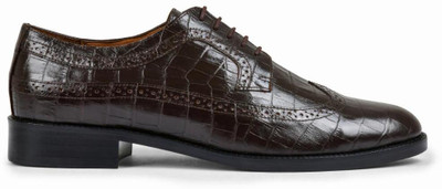 dumanera Dominic Brogues For Men(Purple , 10)