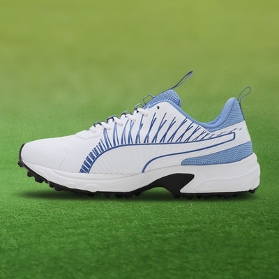 PUMA Cricket Square Cricket Shoes For Men(White , 8)