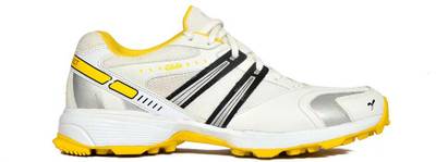 SEGA BY STAR IMPACT Glide Cricket Shoes For Men Price History