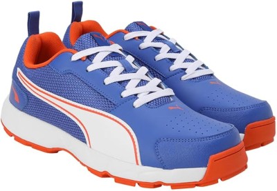 PUMA CRICKET HIGH RUN Cricket Shoes For Men(Multicolor , 11)