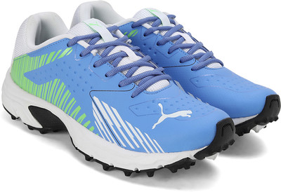 PUMA Cricket Power Sneakers For Men(Blue , 9)