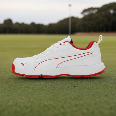 PUMA Cricket Classicat Cricket Shoes For Men(White , 11)