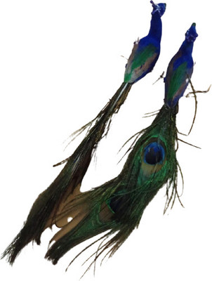Kanha set of 2 artificial Mor / peacock Decorative Showpiece  -  5 cm(Plastic, Dark Blue)
