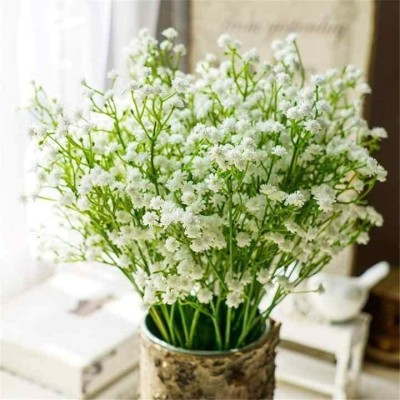 Artsy Artificial flowers for decoration baby's breath flower bucnh for vase/pot White, Green Wild Flower Artificial Flower(22 inch, Pack of 5, Flower Bunch)