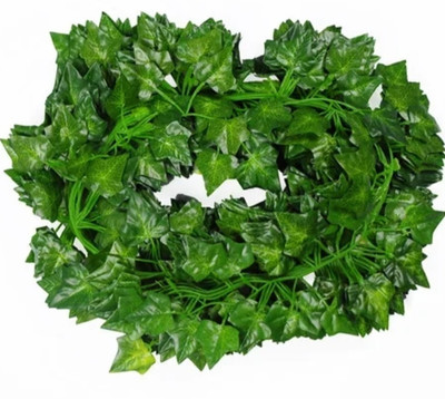 Eden 8ft Set of 4Artificial Money Plant Vine,For|Home|Office|Garden|Decoration Artificial Plant(65 cm, Green)