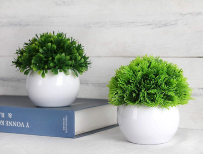 JJ Plastic Pack of 4 Artificial Grass plants in Modern Patterned Pots for Modern Decoration Bonsai Wild Artificial Plant  with Pot(15 cm, Green)