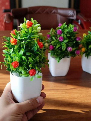 RAKANO Artificial Bonsai Mini Plant (Pack of 1) Bonsai Wild Artificial Plant with Pot Bonsai Wild Artificial Plant with Pot(16 cm, Multicolor)