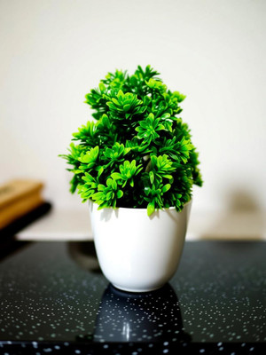 Anandani Mix Mini Green Plants (Pack of 1) for Home & Office Decor Artificail Wild Artificial Plant with Pot(12 cm, Green)