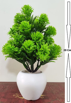AYAS Wild Artificial Plant with Pot(17 cm, Green)