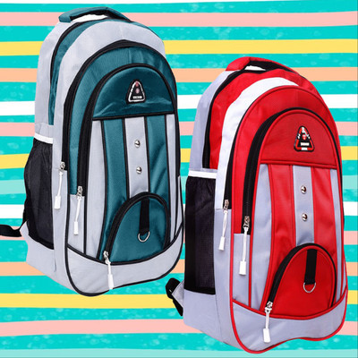 Nariox Medium 25 L lkg ukg 1ts 2nd school Bags Backpack for daily use library office 35 L Backpack(Multicolor)