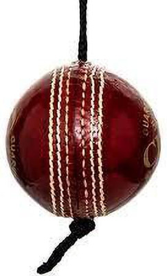 RAS Leather_ball_694 Cricket Leather Ball(Standard, Pack of 4)