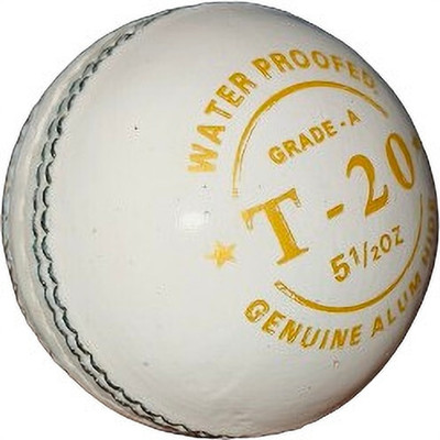 MD Enterprises Grade A T-20 Cricket Leather Ball(Standard, Pack of 1, White)