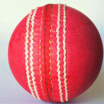RMAINI SPORTS Pink Cricket Leather Ball(Standard, Pack of 1)