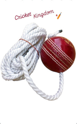 Etahmart Cricket Leather Hanging Ball With Rope For Training/Practice/knocking Cricket Leather Ball(Standard, Pack of 1, Red)