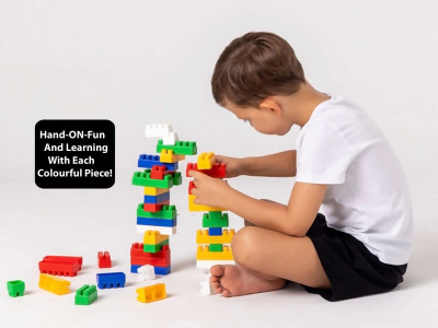 DLY BUILDING BLOCK SET OF 50PC(Multicolor)