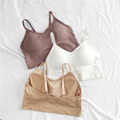MOSSMOOR Women Everyday Lightly Padded Bra(Brown, White, Beige)