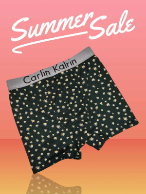 imported underwear ck Lycra, Microfiber, Nylon Trunk