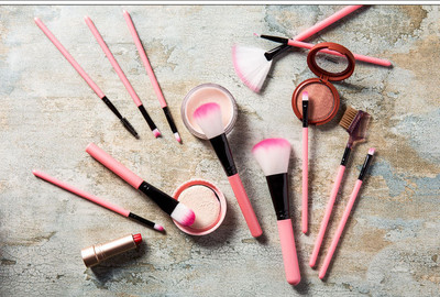 Zqugi THE Premiers Soft Brushes Applicator Set With Box For Makeup(Pack of 12)