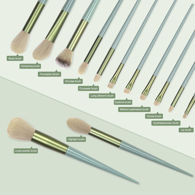 LARA KOSSLER makeup brush applicator high quality 13 pcs makeup brushes set with green bag(Pack of 13)