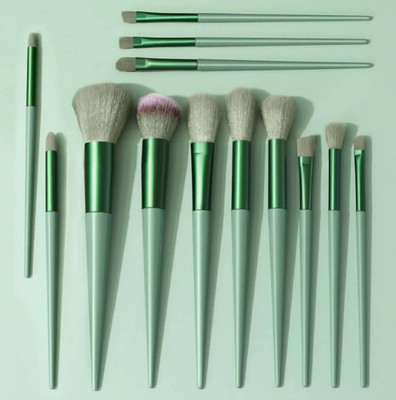 LARA KOSSLER Fix Plus Makeup brush With Cover(Pack of 13)