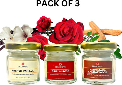 EBLOOMING Scented Candles for Home Decor in Small Glass Jars | Rose, Vanilla, Sandalwood Candle(White, Pack of 3)