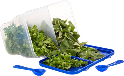 MAGICSPOON Polypropylene Fridge Container  - 2000 ml(Blue)