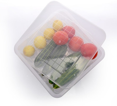 MOOZICO Plastic Fridge Container  - 2500 ml(Clear)