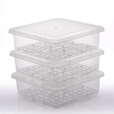RABBITO Plastic Fridge Container  - 2500 ml(Pack of 3, Clear)