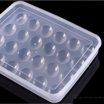 TINSUHG Plastic Egg Container  - 2 dozen(Clear)