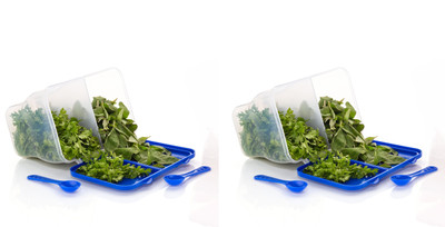 FIT 4 CHEF Polypropylene Fridge Container  - 2000 ml(Pack of 2, Blue, White)