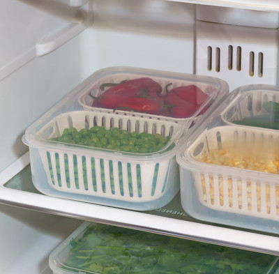 Ecodex Plastic Fridge Container  - 2500 ml(White)