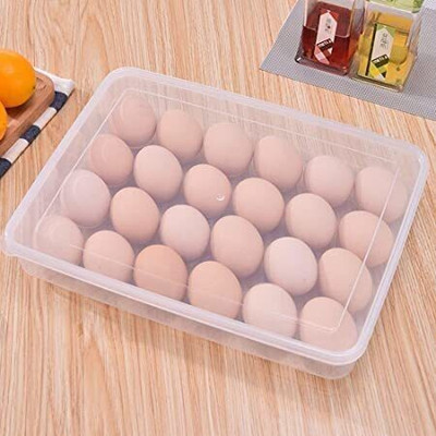 MOOZICO Plastic Egg Container  - 2 dozen(White)