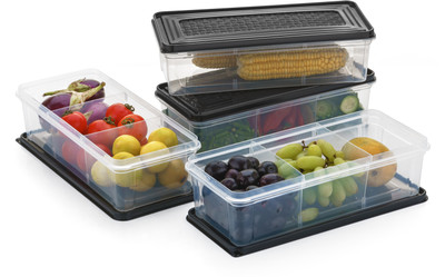 EMBICON Plastic Fridge Container  - 2000 ml(Pack of 4, Black)