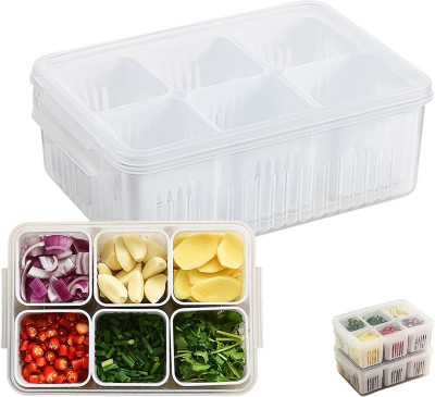 Ecodex Plastic Fridge Container  - 2200 ml(Clear)