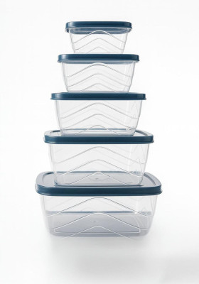 Arurum Plastic Grocery Container  - 1000 ml, 500 ml, 300 ml, 150 ml, 100 ml(Pack of 5, Blue, Transparent)