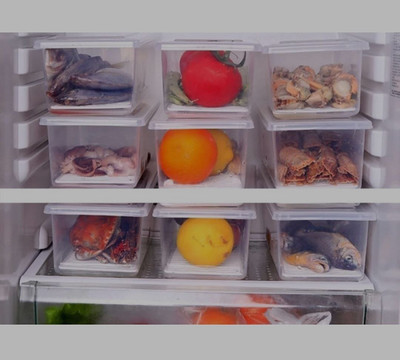 SAMYAK Plastic Fridge Container  - 1500 ml(Pack of 2, White)