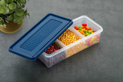 FIT 4 CHEF Polypropylene Grocery Container  - 1900 ml(Blue)