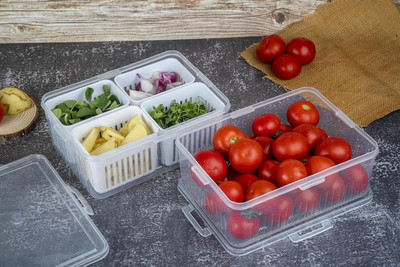 DCP ENTERPRISE Plastic Fridge Container  - 400 ml(Pack of 4, Multicolor)