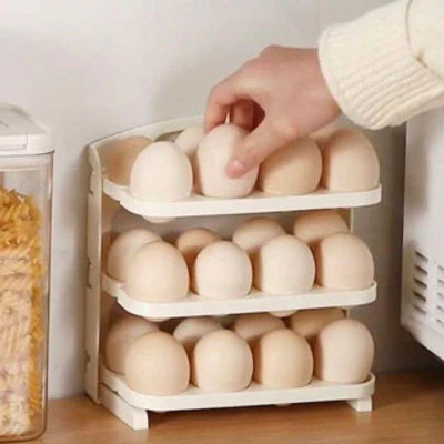 JIGSHTIAL Plastic Egg Container  - 2 dozen(Off White)