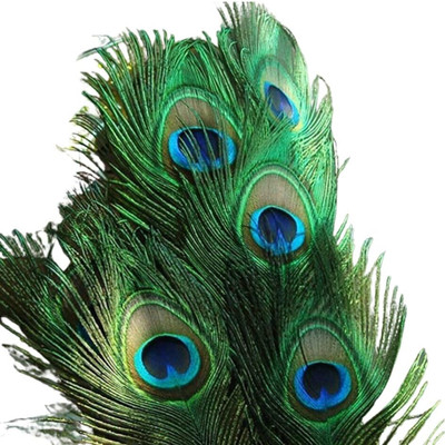 Rajmart Global Pack of 15 Decorative Feathers(16 -18 Inch Real Mor Pankh Peacock Feather)