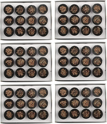 Airofine Fragrance Guggal Cows Panchgavya Dhuni Cups, Sambrani Dhoop cups Guggul Dhoop(Pack of 70)