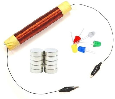 ERHIndia Electromagnetic Induction Project Working Model School Science Project Electronic Components Electronic Hobby Kit