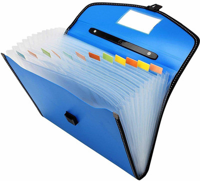 Bluedeal plastic Expanding File Folder,Accordion Document/Letter A4 Size File(Set Of 1, Blue)