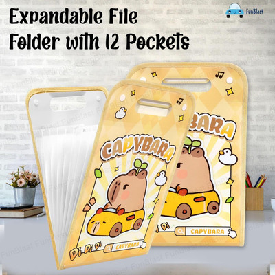 JUBLYN Plastic File Folder(Set Of 1, Yellow)