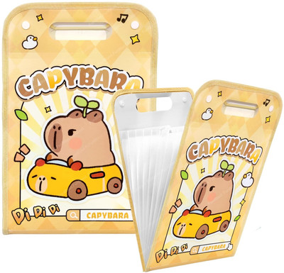 BANQLYN Plastic File Folder(Set Of 1, Yellow)