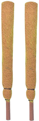 Nikhat COCO POLE 2 FT(61 cm)- 2 Pieces-MOSS & COIR STICK FOR MONEY PLANT SUPPORT Plant Container Set(Pack of 2, Plastic)